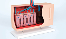 免费ddos在线攻击测试网站